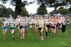 Girls under-15s Northern Cross Country Relays, Graves Park, Sheffield. Photo: David T. Hewitson/Sports for All Pics